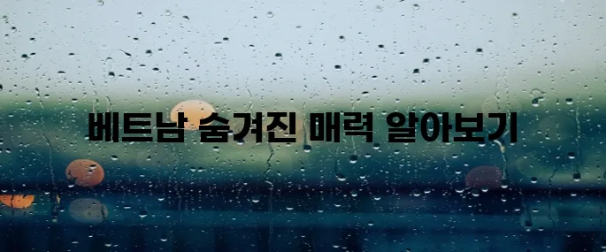 베트남 여행지 TOP5 (김해공항 출발 기준 / 비행시간 비교 / 지역별 특징 분석)