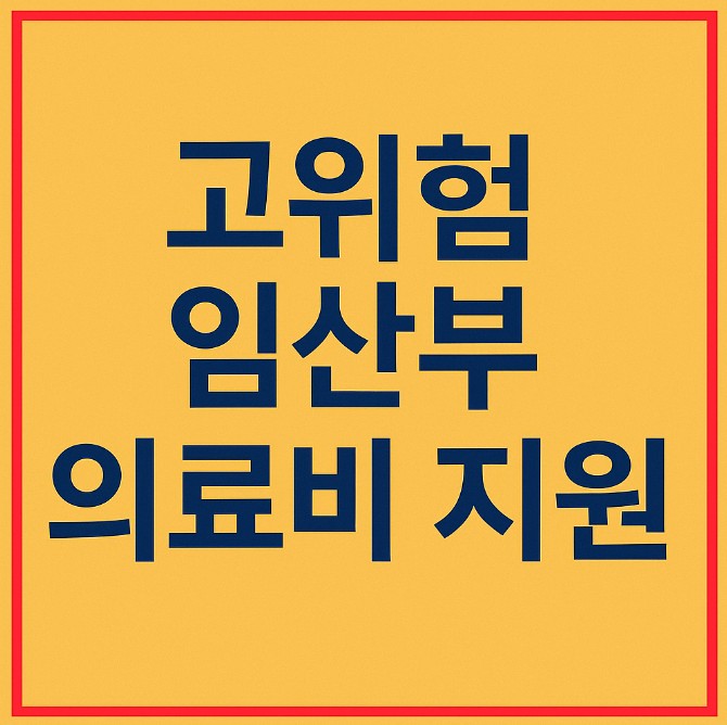고위험 임산부 의료비 지원