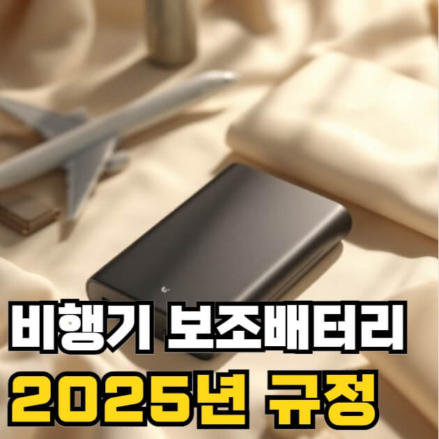 비행기 보조배터리 규정