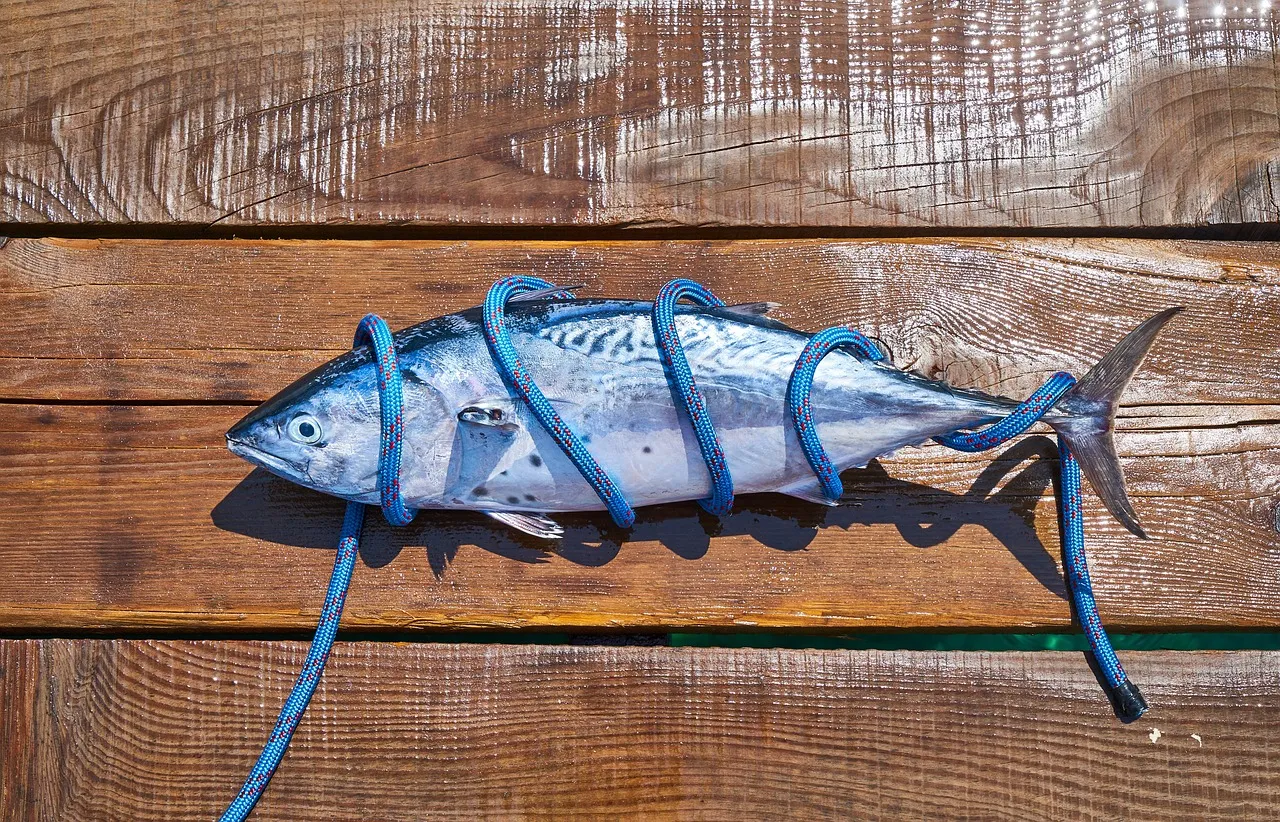 알티지 오메가3