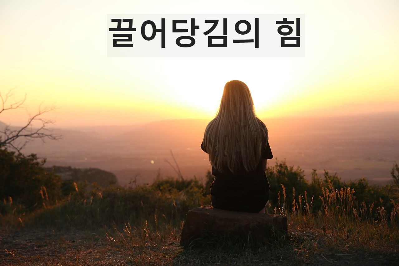 끌어당김의 힘