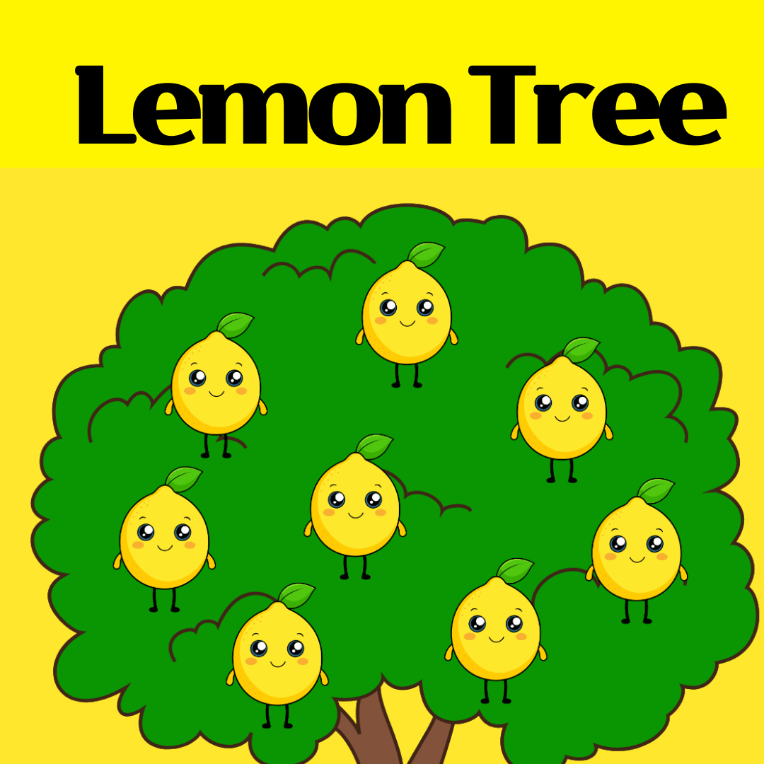 Lemon Tree 팝송 영어 with 가사 해석 발음 총정리