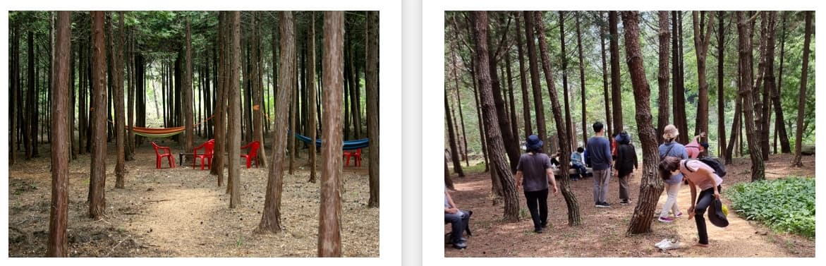 [봄 축제]전남 장흥 하늘빛수목정원 200% 즐기기｜튤립축제부터 동물농장, 체험까지!