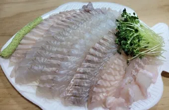 여름 회 추천과 여름철 횟감 여름 제철 회와 생선 정보_6