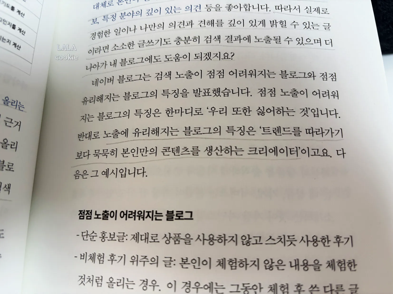 블로그-책-추천-하루-30분-월100-만들기-글귀2