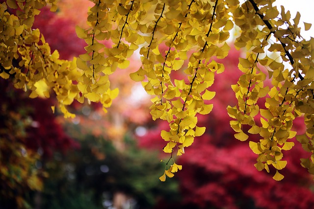 내가 실제로 가본 광명시 숨은 명소 5곳