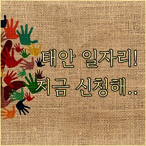 태안군 시니어클럽 공익활동 및 사회서..
