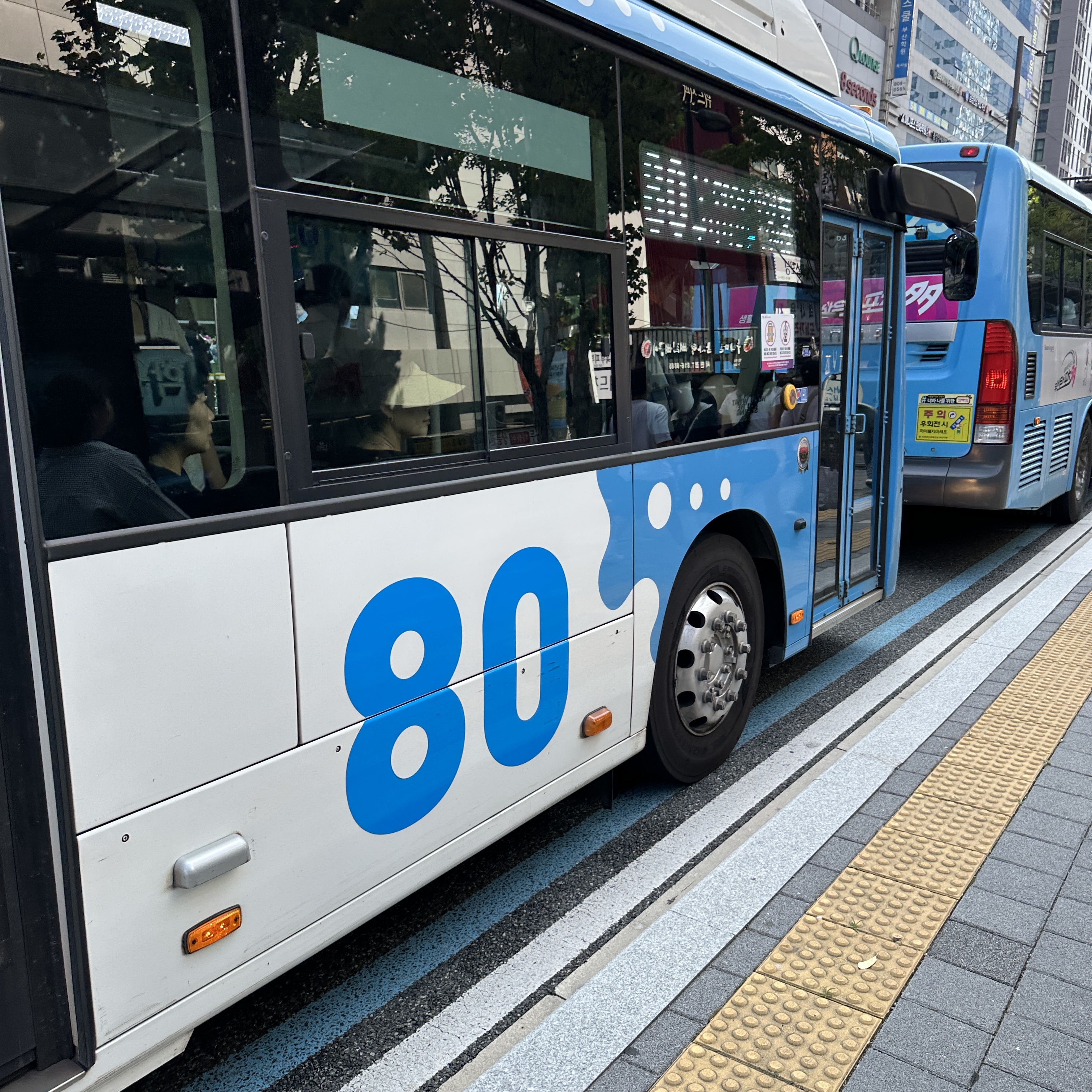부산80번버스