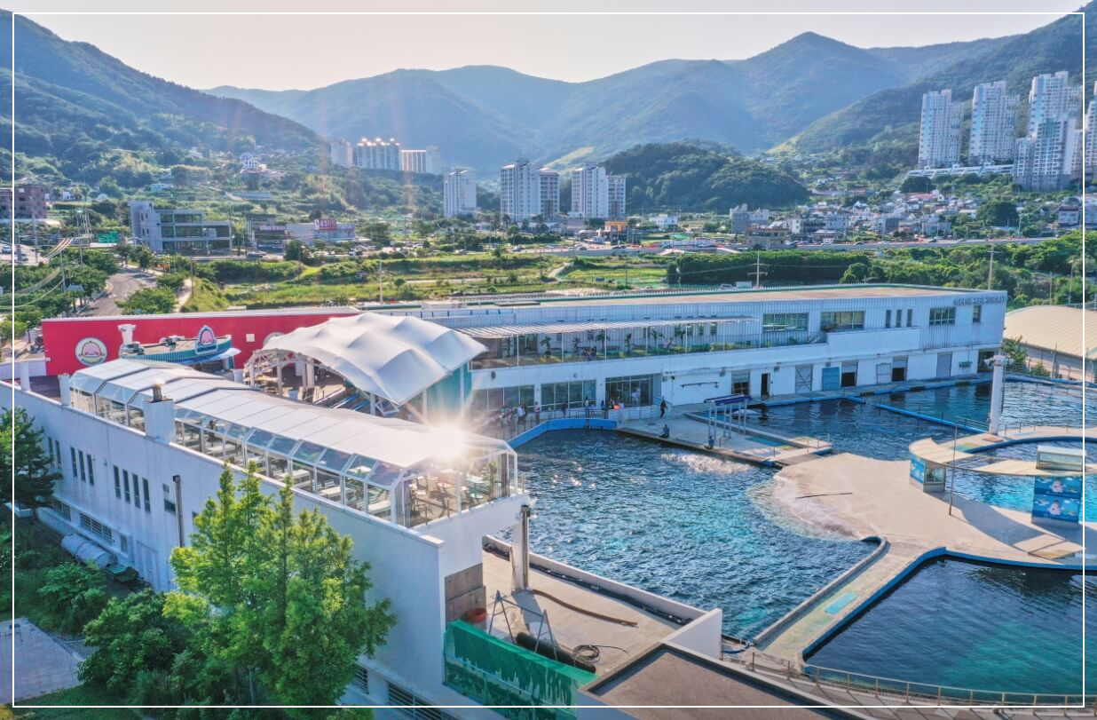 거제도 가볼만한곳 베스트10 거재씨월드