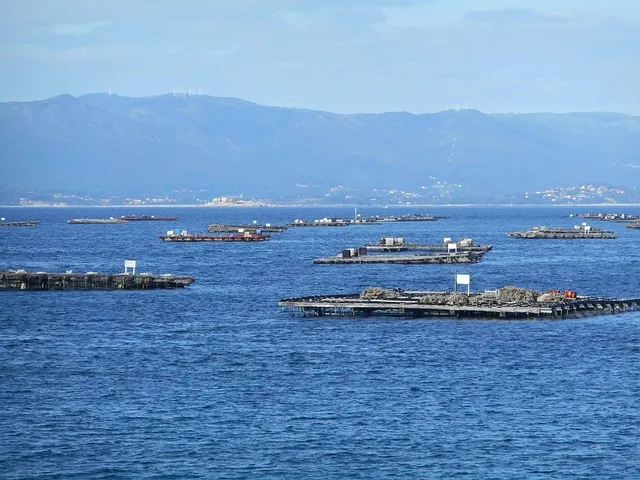 지역별 대표 사투리 서울 경상도 전라도 충청도 비교 분석_9