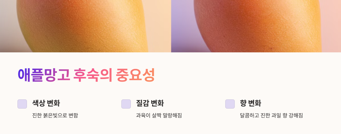 애플망고 후숙의 중요성