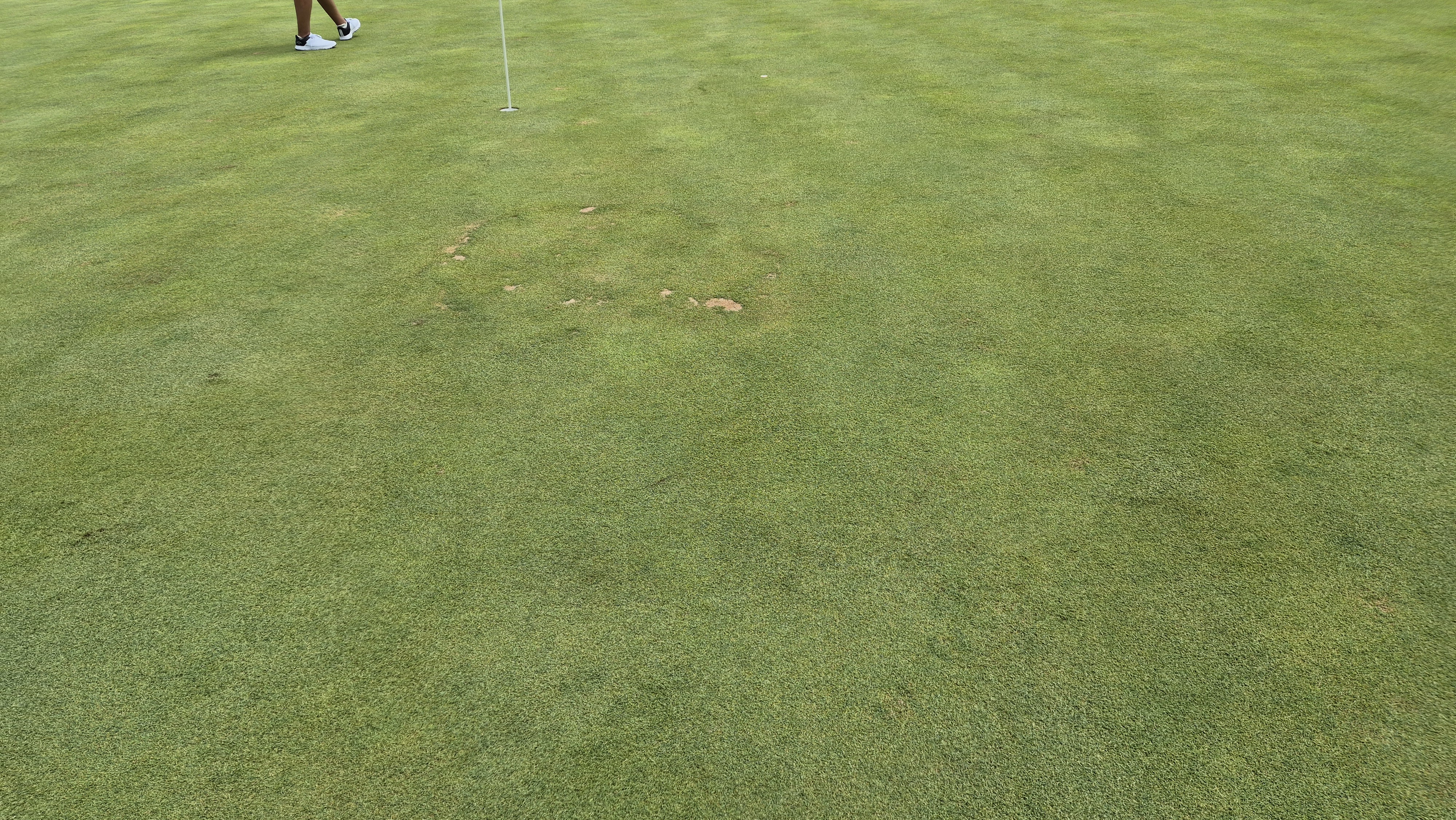 센테리움cc 스코틀랜드-웨일즈 코스 라운드 후기