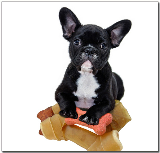 ๊ฐ๊ป์ ์ก๊ณ ์๋ ํ๋ ์น ๋ถ๋