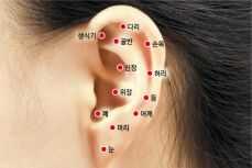 귀 혈자리 위치 지압법