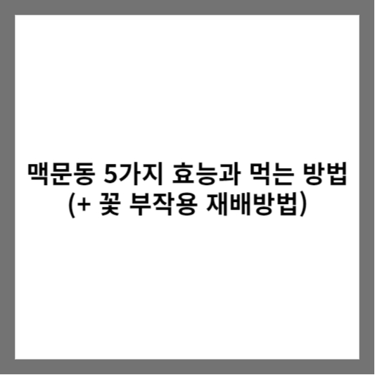 맥문동 5가지 효능과 먹는 방법 (+ 꽃 부작용 재배방법)