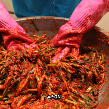 김치 곰팡이