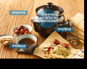 면역한방병원