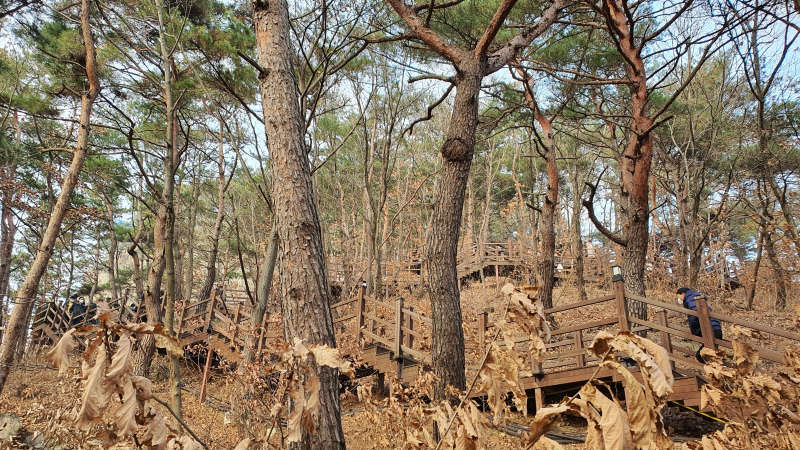 산행 데크 계단