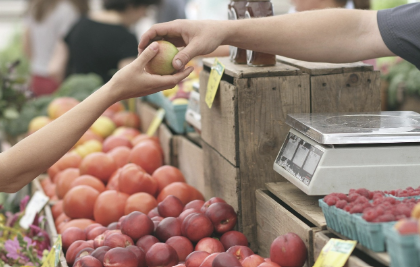 종합소득세 환급금