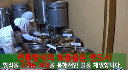 토종꿀채밀