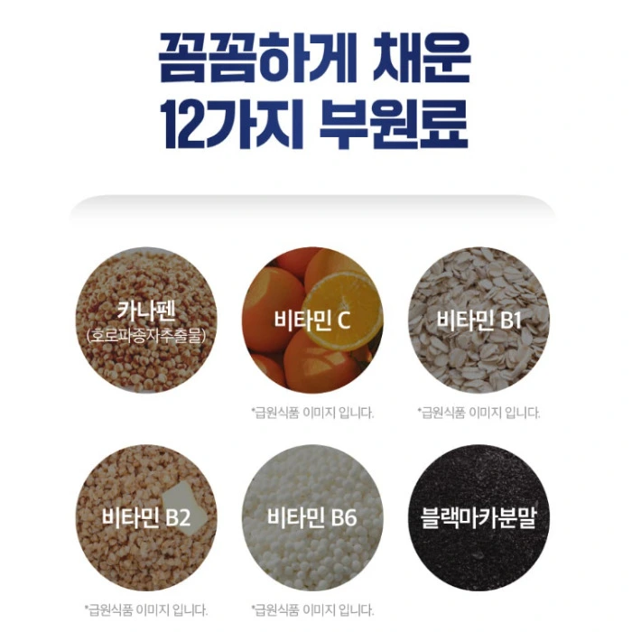 본투식스 내돈내산 후기 부작용 효능 복용법 다이어트 성분 효과