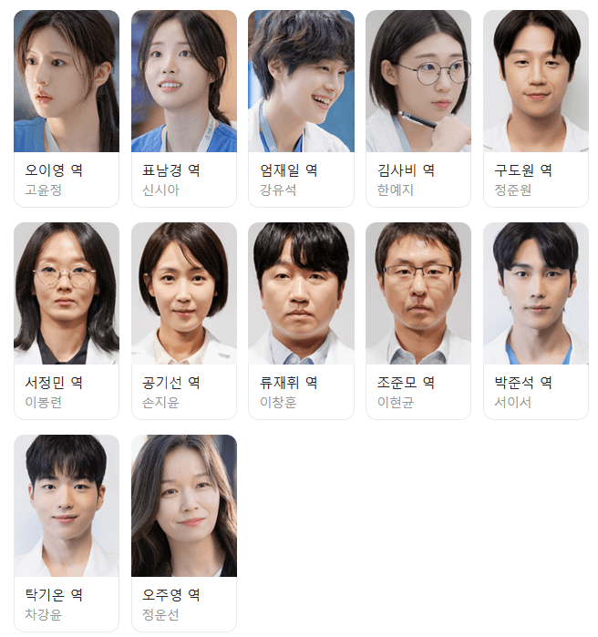 언젠가는 슬기로울 전공의생활 등장인물