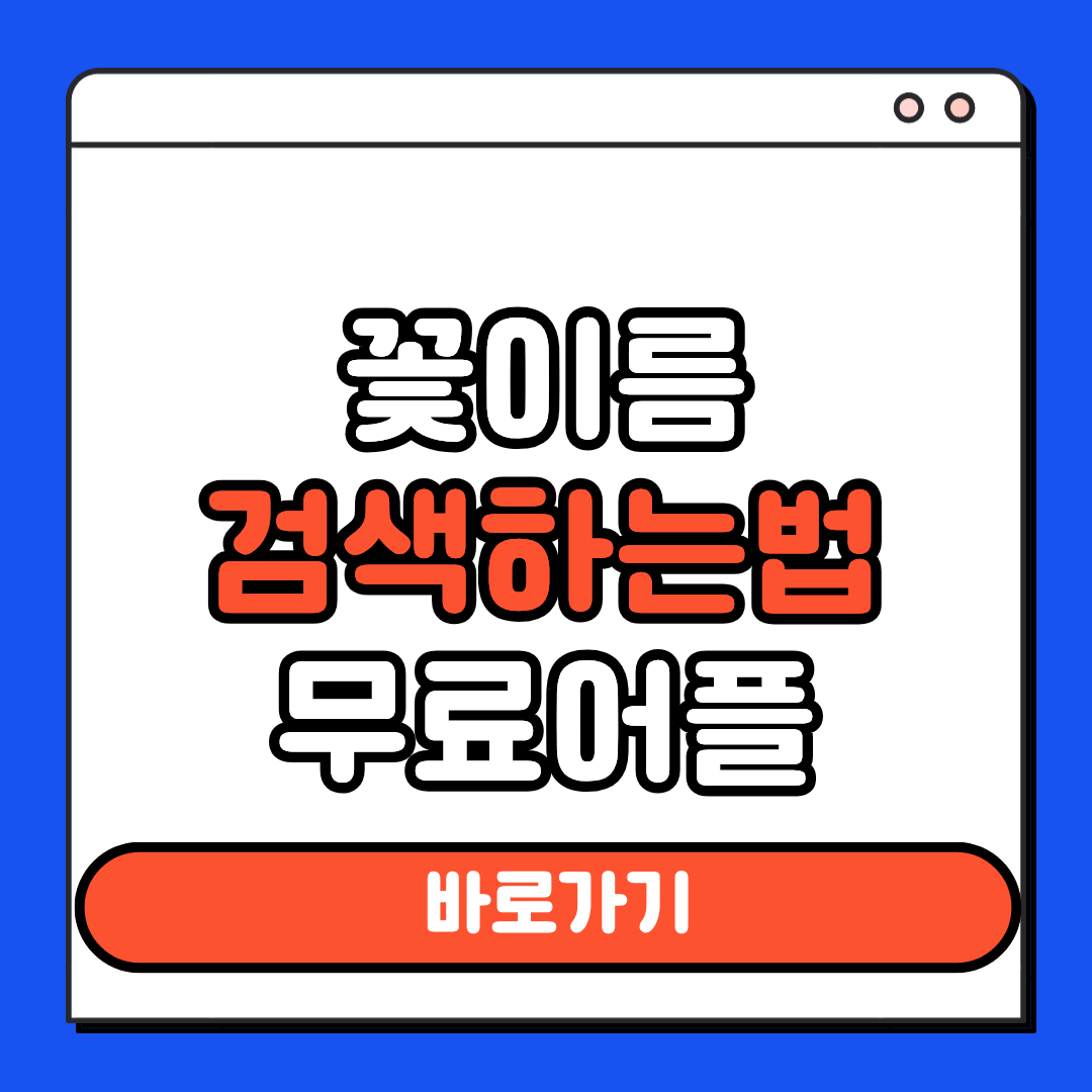 꽃 이름 검색하는법