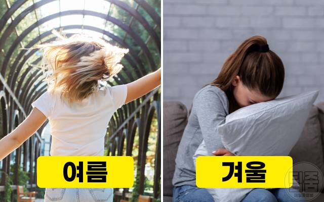 겨울 무기력증,우울증 원인,계절성 정동장애