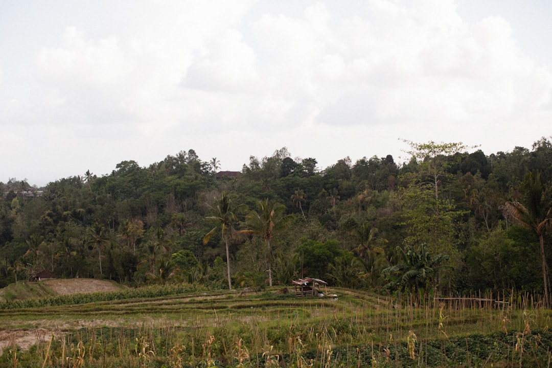 Land Use