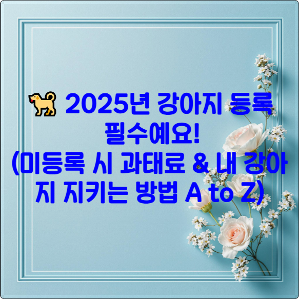 🐕 2025년 강아지 등록: 필수예요! (미등록 시 과태료 &amp;amp; 내 강아지 지키는 방법 A to Z)