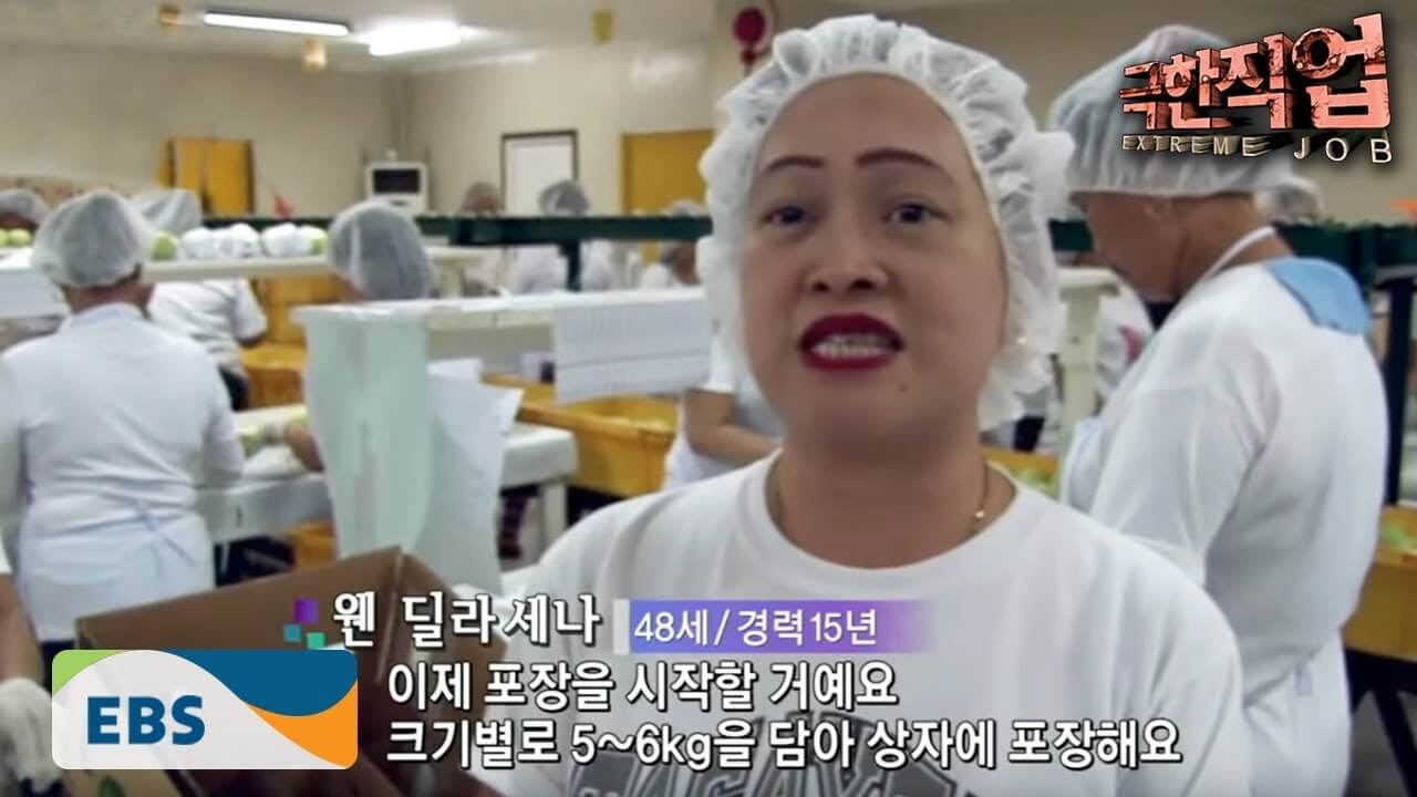 EBS ‘극한직업’ 대왕 망고 구매하기