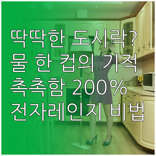 딱딱한 냉동 도시락 방지하는 전자레인..