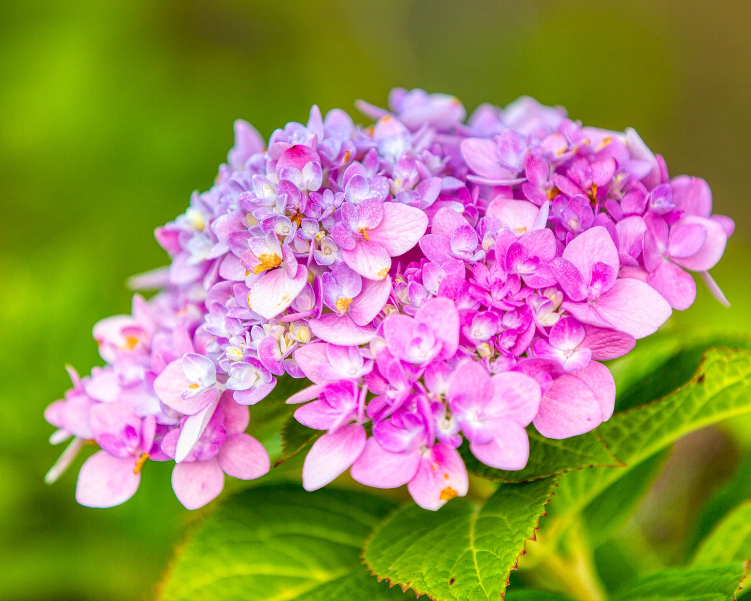 구리 한강공원- 31