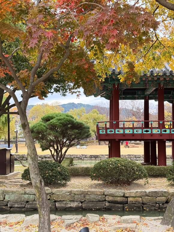 전라도 가을 여행지 추천 : 단풍으로 물든 힐링 코스 10선 (2025 최신판)