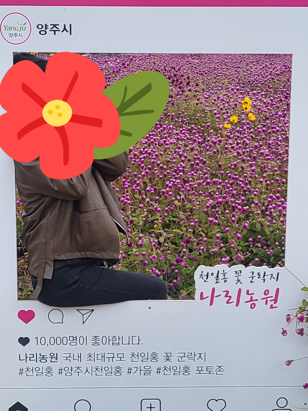 나리공원 포토존