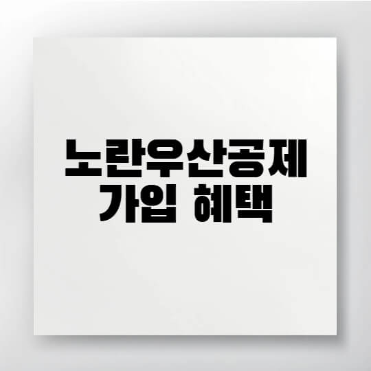 노란우산공제 혜택 및 가입 안내 요약 이미지