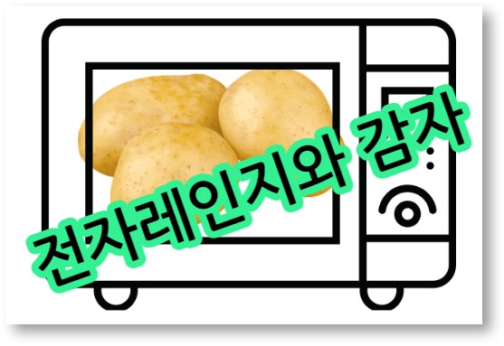 전자레인지와 감자