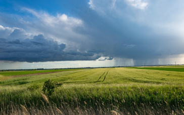 2025 후계농업경영인 지원사업