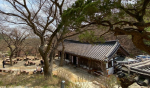 부처님오신날유명사찰