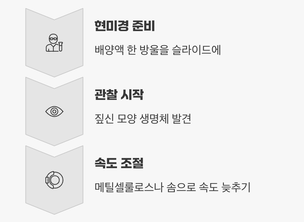 드디어 만나는 살아있는 교과서