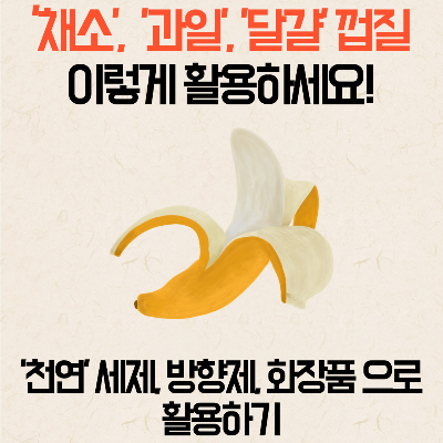 껍질