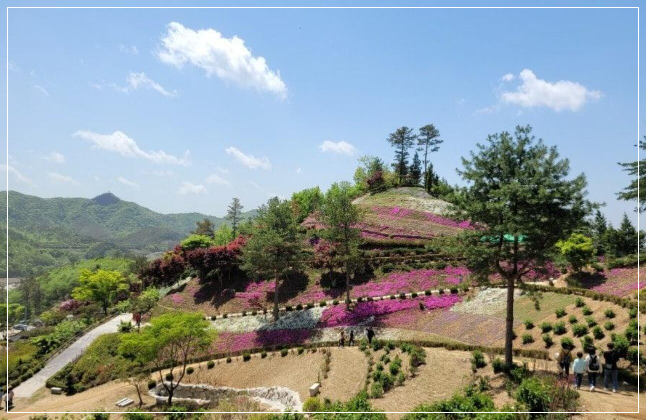 진안 가볼만한곳 베스트10 진안 꽃잔디동산