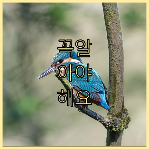 ESTA 수수료 21달러 인상, 추가..