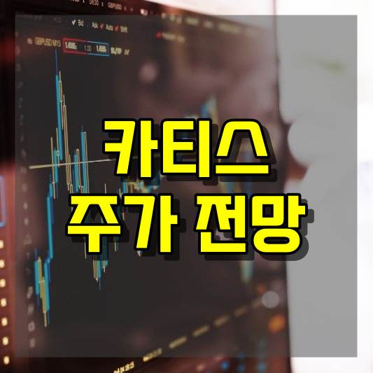 카티스 주가 전망