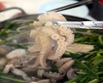 서천 동백꽃 주꾸미 축제_16