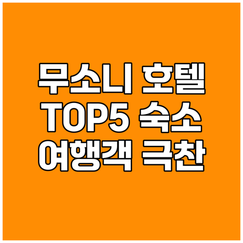 무소니 호텔 고민 끝! 여행객들이 극