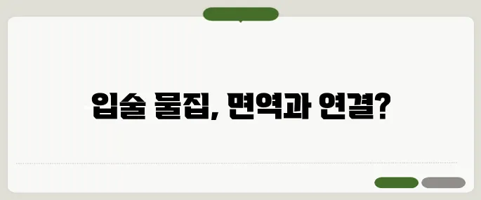 입술에 물집이 생기는 이유 면역력 적신호