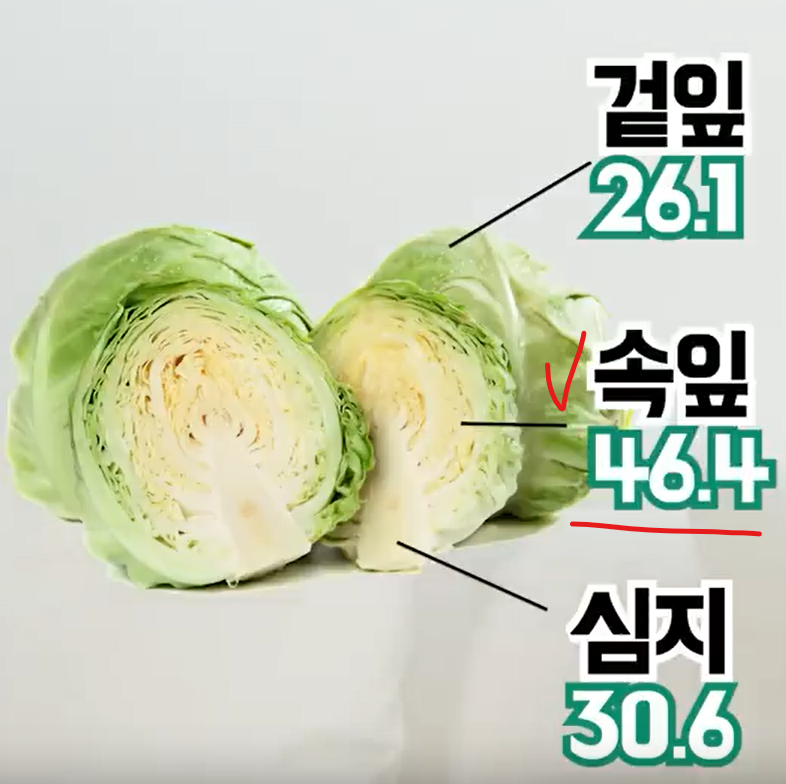 양배추의 부위별 비타민 U 함량