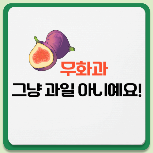 무화과 효능과 성분 총정리 ❘ 다이어트·피부미용 효과까지
