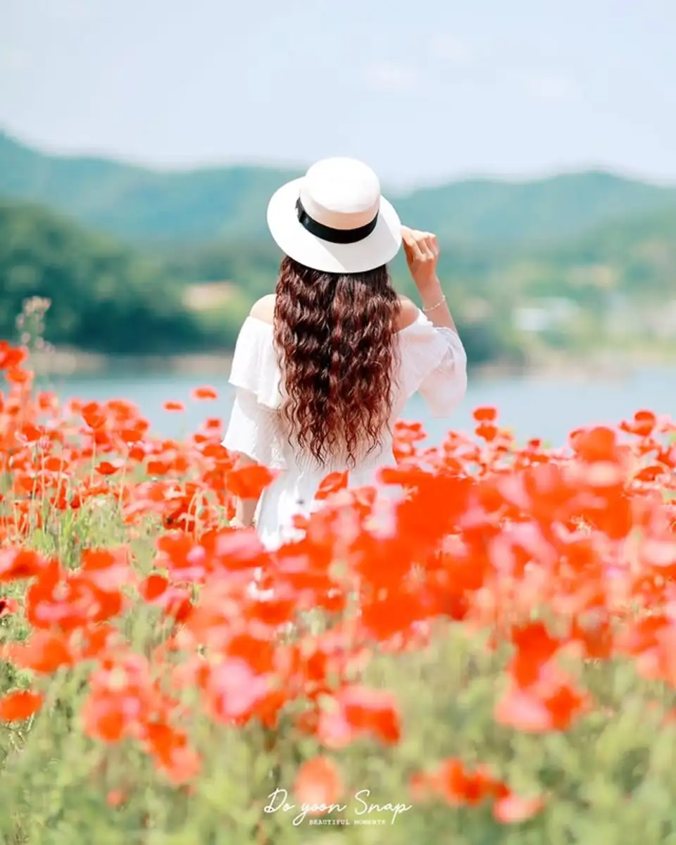 고도윤 촬영 문의하기 견적 안내